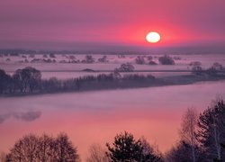 Mgła nad polami i łąkami o wschodzie słońca