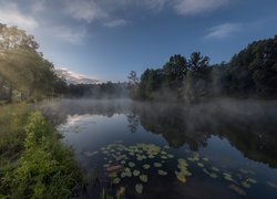 Staw Barski, Mgła, Drzewa, Odbicie, Serednikowo, Obwód moskiewski, Rosja