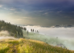 Mgła nad ukraińskimi Karpatami