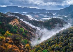 Stany Zjednoczone, Kalifornia, Park stanowy Malibu Creek, Trawy, Góry Santa Monica, Wąwóz, Mgła, Roślinność