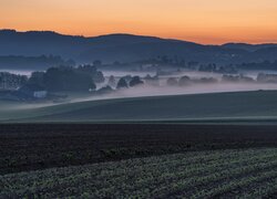 Pola, Dolina, Drzewa, Mgła, Wschód słońca, Góry, Eifel, Nadrenia-Palatynat, Niemcy