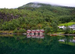 Mgła nad zalesioną górą i domy nad fiordem Aurlandsfjord w Norwegii