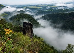 Mgła nad zalesionymi wzgórzami