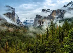 Stany Zjednoczone, Kalifornia, Park Narodowy Yosemite, Góry, Skały, Drzewa, Dolina, Mgła