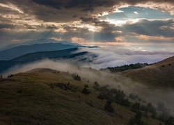 Mgła unosząca się nad górami