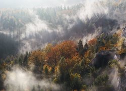 Mgła unosząca się nad jesiennymi lasami w górach