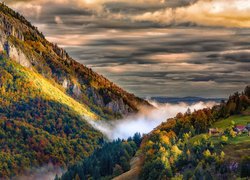 Mgła unosząca się nad jesiennymi lasami w górskiej dolinie