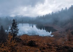 Mgła unosząca się nad jeziorem i lasem
