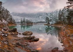 Mgła unosząca się nad ośnieżonym lasem nad jeziorem Eibsee