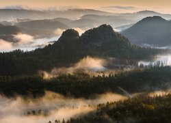 Góry, Skały, Drzewa, Lasy, Mgła