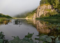 Mglisty poranek nad lasem przy rzece