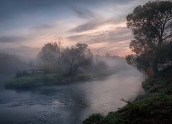 Poranek, Wschód słońca, Mgła, Rzeka Istra, Drzewa, Obwód moskiewski, Rosja