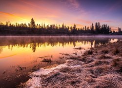 Mglisty zimowy poranek nad rzeką