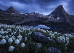 Stany Zjednoczone, Stan Montana, Park Narodowy Glacier, Jezioro, Hidden Lake, Góry, Las, Drzewa, Kwiaty, Miądrzyga, Chmury