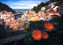 Zalesione, Wzgórza, Domy, Pomarańczowe, Dachy, Kwiaty, Cudillero, Asturia, Hiszpania