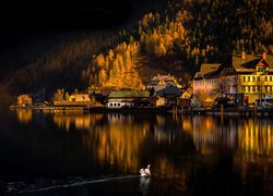 Austria, Miasteczko Hallstatt, Jezioro Hallstättersee, Góry Alpy Salzburskie, Domy, Łabędź