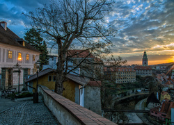 Czechy, Český Krumlov, Ulica, Domy, Kościół, Drzewo