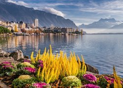 Miasto Montreux w Szwajcarii