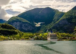 Góry, Brzeg, Fiord Aurlandsfjord, Statek, Mewa, Aurland, Norwegia