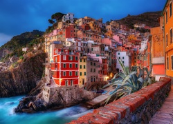 Włochy, Liguria, Riomaggiore, Wybrzeże, Domy
