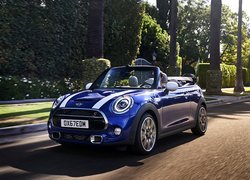 Niebieskie, Mini Cooper S, Convertible, 2019