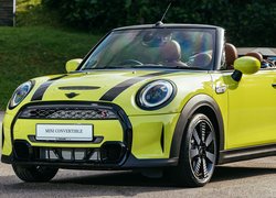 Żółty, Mini Cooper S, Kabriolet