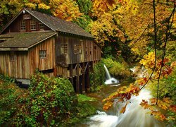 Jesień, Młyn, Cedar Creek Grist Mill, Rzeka, Drzewa, Las, Woodland, Stan Waszyngton, Stany Zjednoczone