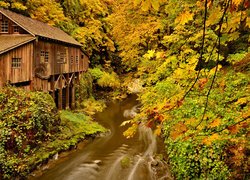 Młyn Cedar Creek Grist Mill i rzeka Lewis River jesienią