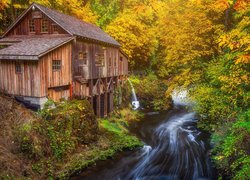 Jesień, Las, Drzewa, Wodospad, Rzeka, Młyn Cedar Creek Grist Mill, Stan Waszyngton, Stany Zjednoczone