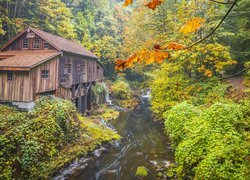 Jesień, Las, Drzewa, Wodospad, Rzeka, Młyn, Cedar Creek Grist Mill, Stan Waszyngton, Stany Zjednoczone