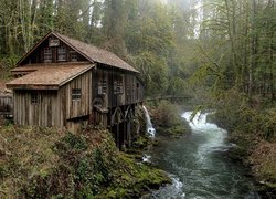 Stany Zjednoczone, Stan Waszyngton, Młyn, Cedar Creek Grist Mill, Rzeka, Las, Jesień