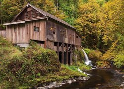 Młyn, Cedar Creek Grist Mill, Rzeka, Drzewa, Woodland, Stany Zjednoczone