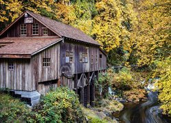 Młyn Cedar Creek Grist Mill wśród drzew