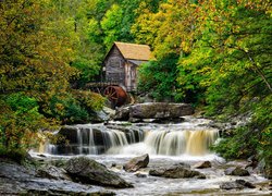 Stany Zjednoczone, Wirginia Zachodnia, Park Babcock State, Młyn, Glade Creek Grist Mill, Drzewa, Rzeka New River Gorge, Kamienie