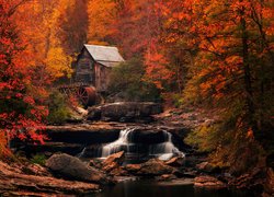 Jesień, Młyn, Glade Creek Grist Mill, Las, Drzewa, Rzeka, New River Gorge, Skały, Park Babcock State, Wirginia Zachodnia, Stany Zjednoczone