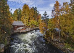 Las, Drzewa, Rzeka, Młyn Myllykoski, Jesień, Park Narodowy Oulanka, Gmina Kuusamo, Laponia, Finlandia