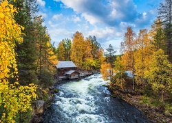 Jesień, Las, Pożółkłe, Drzewa, Rzeka, Młyn Myllykoski, Park Narodowy Oulanka, Gmina Kuusamo, Laponia, Finlandia