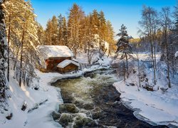 Młyn Myllykoski w Parku Narodowym Oulanka