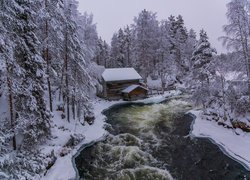 Młyn nad rzeką w Parku Narodowym Oulanka w Laponii