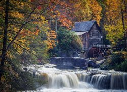 Młyn pod jesiennymi drzewami nad rwącą rzeką