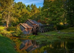 Młyn wodny, Mabry Mill, Rzeka, Drzewa, Trawa, Wirginia, Stany Zjednoczone