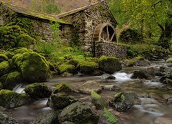 Rzeka, Młyn wodny, Omszałe, Kamienie, Borrowdale, Cumbria, Anglia