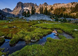 Góry, Sierra Nevada, Łąka, Trawa, Skały, Rozlewisko, Kalifornia, Stany Zjednoczone