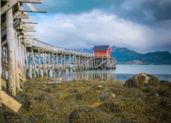 Norwegia, Wyspa Meløya, Molo, Domek, Morze Norweskie