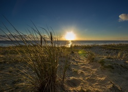 Morska plaża porośnięta trawą w blasku wschodzącego słońca