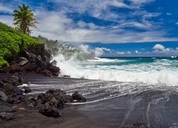 Hawaje, Wyspa Maui, Waianapanapa State Park, Morze, Fale, Palmy, Chmury, Kamienie