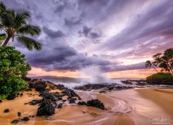 Hawaje, Wyspa Maui, Morze, Fale, Palmy, Chmury