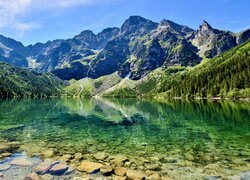 Polska, Góry, Tatry, Jezioro, Morskie Oko, Drzewa