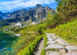 Polska, Góry Tatry, Mięguszowickie Szczyty, Jezioro Morskie Oko, Drzewa, Ścieżka