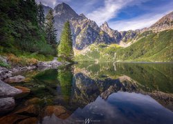 Polska, Góry, Tatry, Skały, Drzewa, Jezioro, Morskie Oko